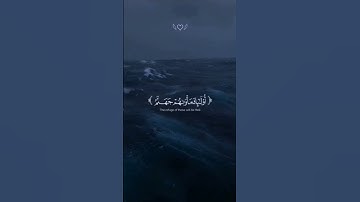 القرآن الكريم | سورة النساء - ياسر الدوسري #اكسبلور #راحة_نفسية #لايك