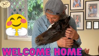 Horse inside the house for the first time!