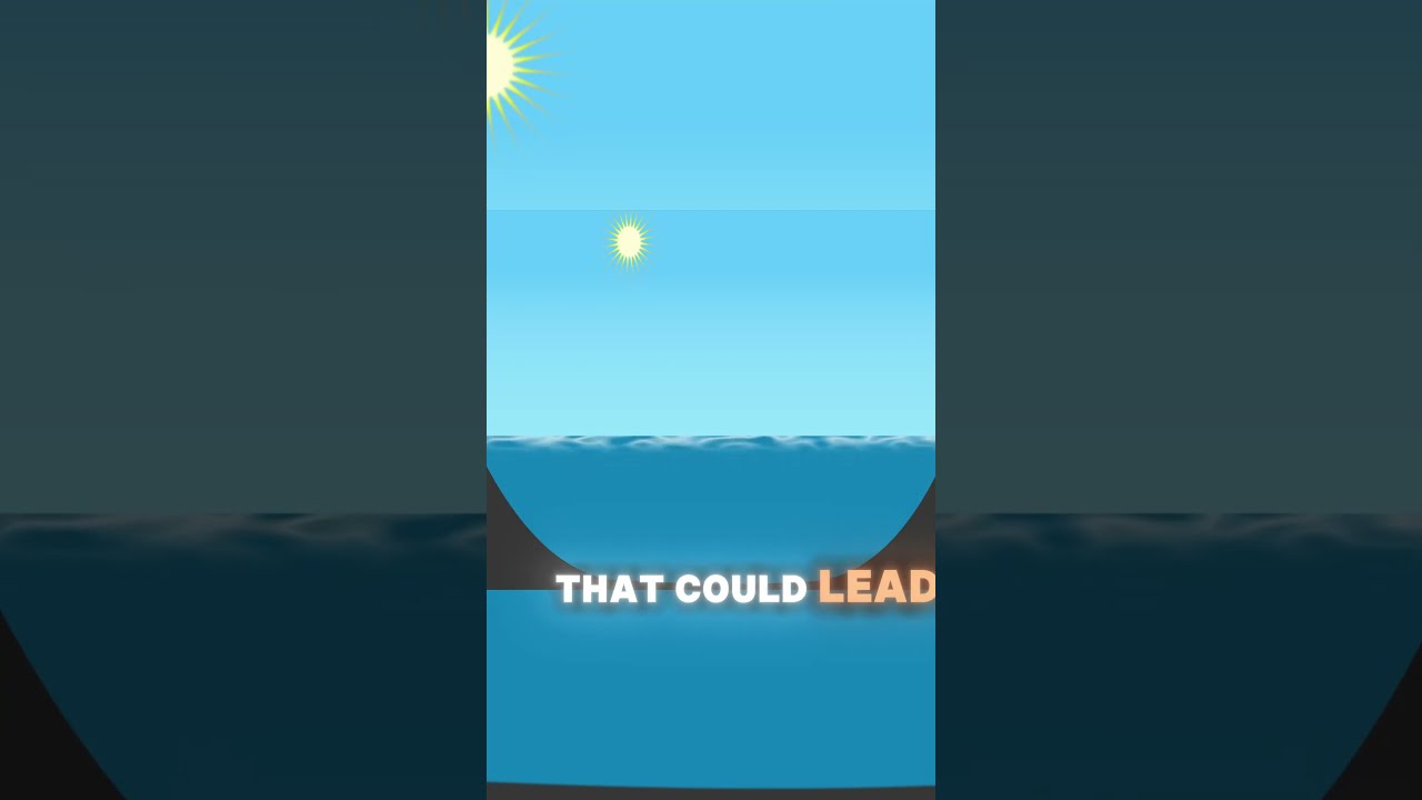 Why Are 96M Balls Floating In A Reservoir 