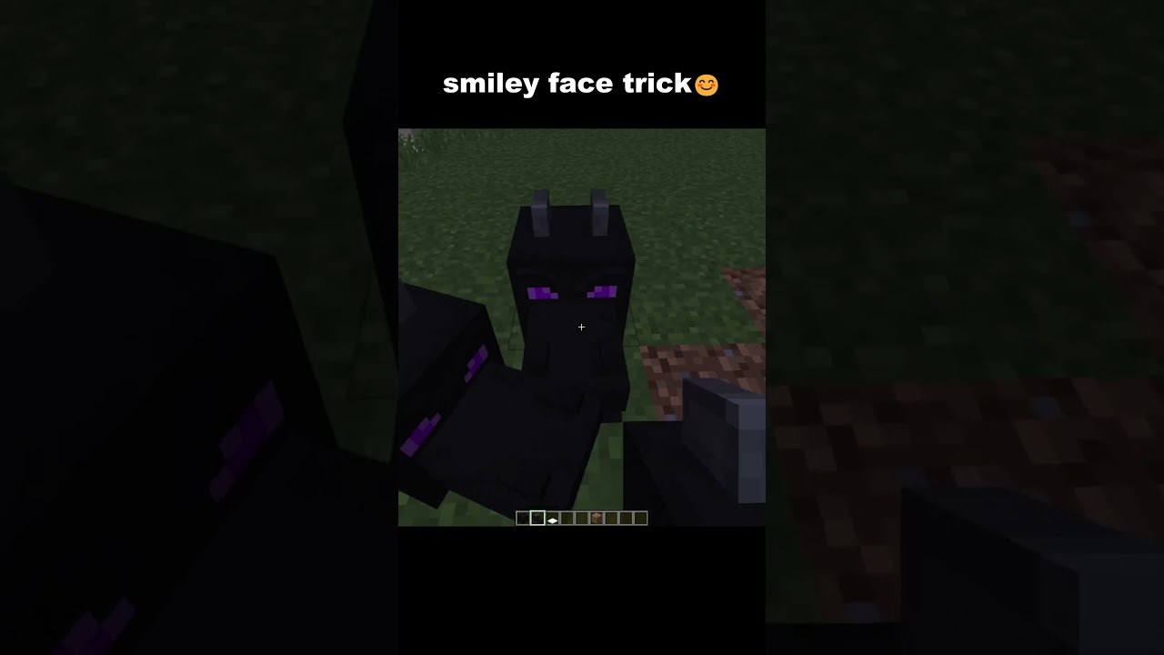 Smiley face trick in minecraft :)