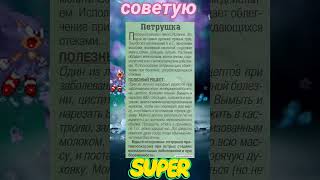 польза от петрушки. shortvideo #полезныйсовет #жизньпрекрасна #всёбудетхорошо #полезнознать #всёок #