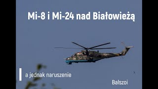Mi-8 I Mi-24 Nad Białowieżą A Jednak Naruszenie