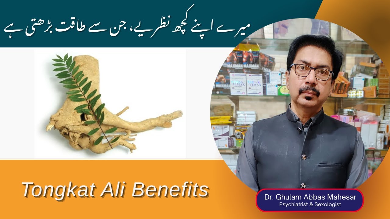 Tongkat Ali Benefits In Urdu/Hindi Tongat Ali For Erectile