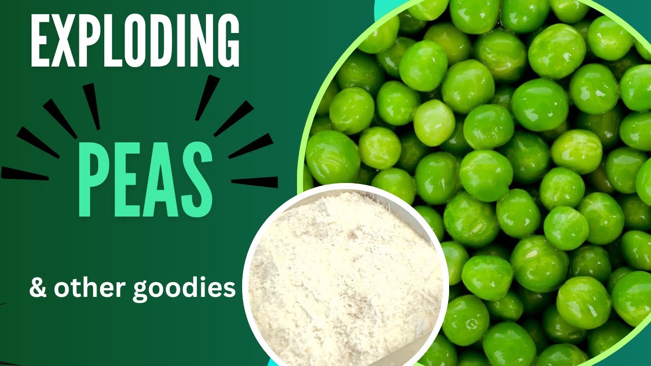 Peas Exploding Exploding Peas and Other Goodies 🫛 - YouTube