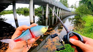 I discover this special pond and I fish in it, IS THERE BIG FISH ??? screenshot 4