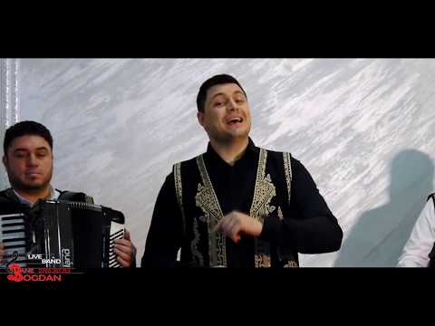 Dane Bogdan Live