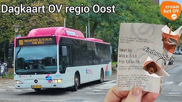 HERFST in de ACHTERHOEK en de oudste BRENG lijnbussen! | #juulvlog 