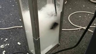 Thruster Remote Control using ROS