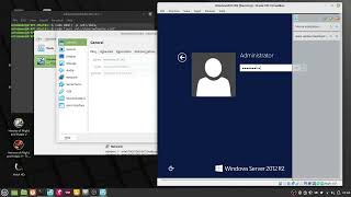 Radmin VPN on Linux using VirtualBox (no sound)