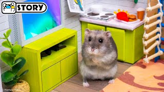 🐹 Hamster Escapes the Chaos Maze 🐹 Homura Ham Pets