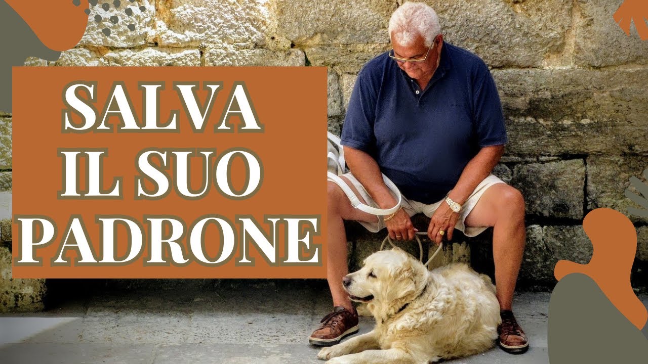 Si Salva La Vita Grazie Al Suo Cane, Proprio Lui Che Non Voleva Avere ...