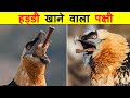 अफ्रीका का ये पक्षी हड्डी खाता है। THESE CREATURES CAN EAT ANYTHING.