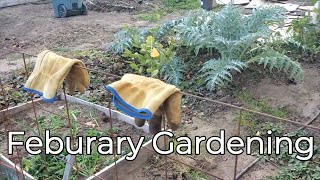February Gardening: Get a Head Start on Spring