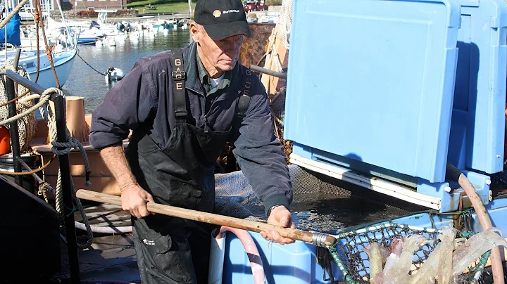 The squid collector: Not your average technician #1