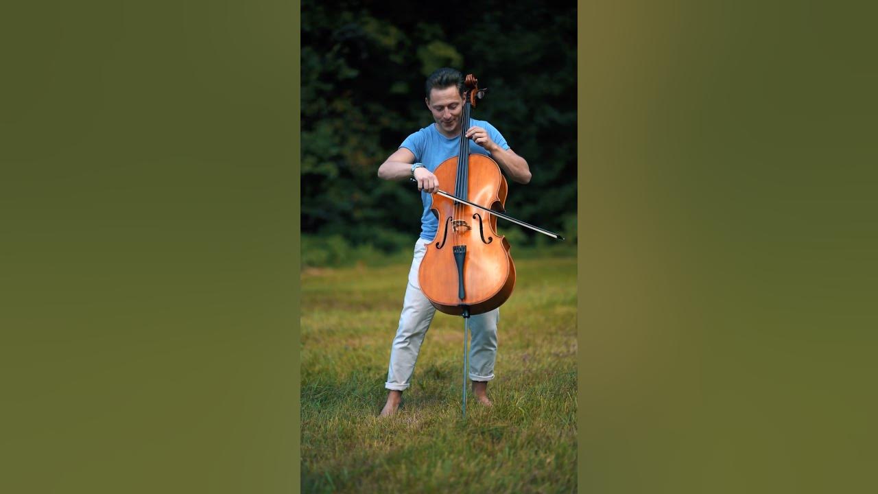 Amr Diab - Tamally Ma'ak 🇪🇬#amrdiab #tamallymaak #cello #viral #music #egypt