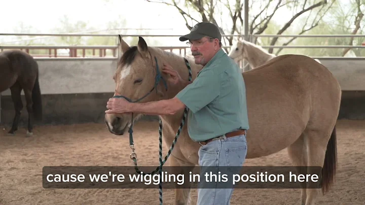 How to Help Your Horse Release Tension in the Neck