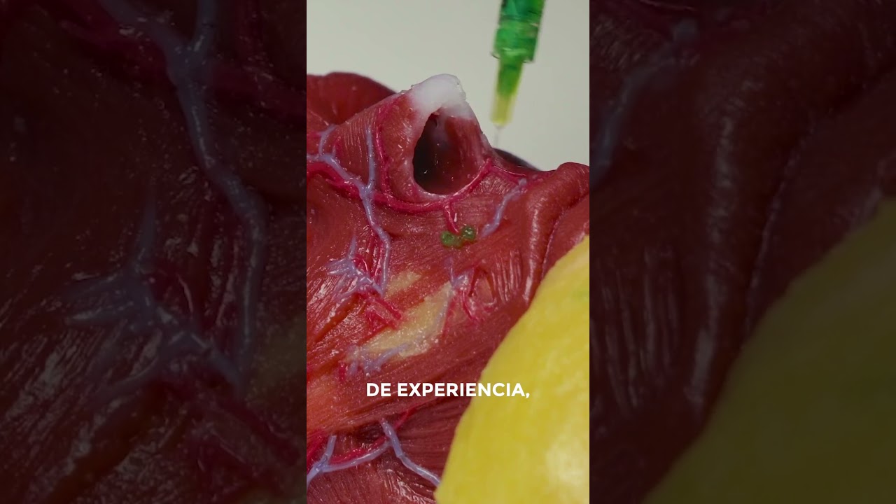 Video taller Dr  Sebastián Casenave