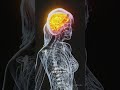 How Positive Thinking Changes Your Brain