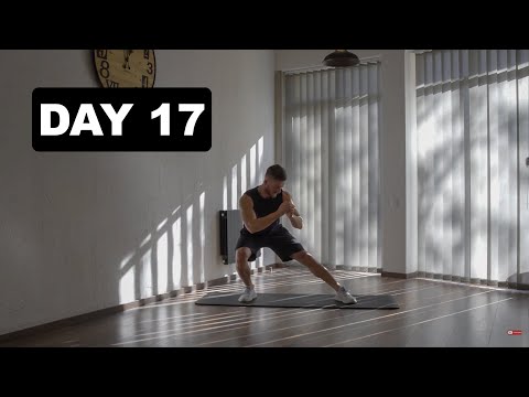 მოტივაცია - დღე 17