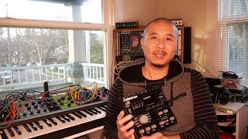 Taking Moog Matriarch Delay To The Next Level w/ the Elektron Analog Heat