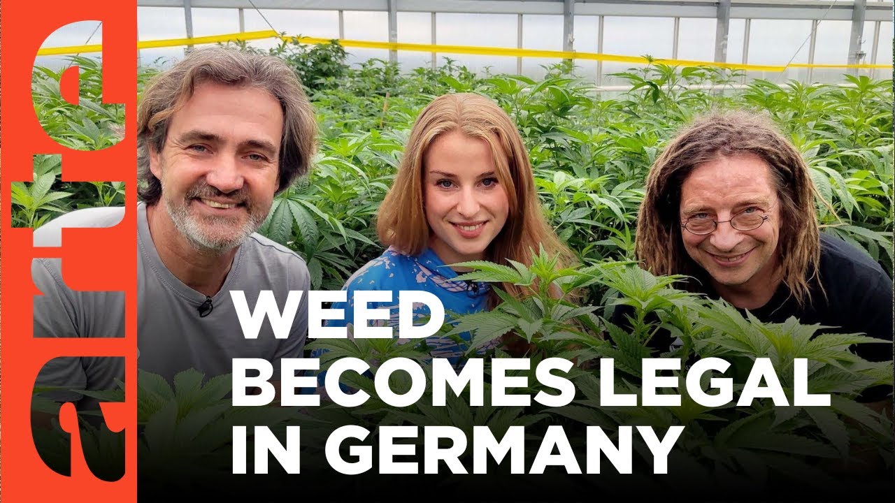Film backdrop image for Cannabis for All (2024)