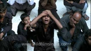 Injuring oneself on Muharram at the Imambara