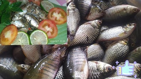 Small Fish Recipe with dry fermented bamboo shoots /singpho style / tribal recipe / ethnic style