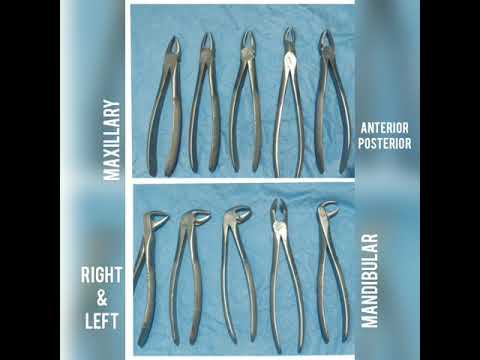 Dental Forceps | How to identify forceps |Differences between maxillary & mandibular forceps