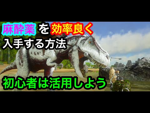 4 Ark Mobile 麻酔薬を効率よく沢山手に入れる方法 Youtube