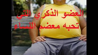 العضو الذكري التي تحبه معضم النساء