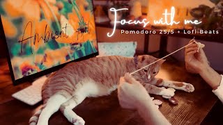 3.5-HR⏳Pomodoro 25/5 + Chill Lofi Beats 🎵Focus With Me & My Cats🐈‍⬛🐈💛 for Study / Work / Craft etc