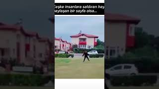 Süpriz Www.gayrimekul.com