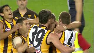 Round 22 Carlton VS Hawthorn 2008 Lance Franklin 100th Goal Pitch Invasion Net Worth