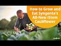 How to grow and eat syngentas allnew istem cauliflower