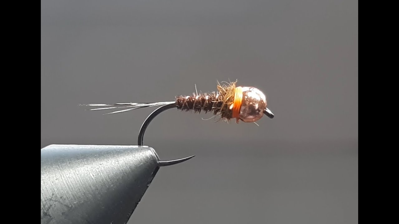 NINFA DE FAISAN + Bufanda naranja