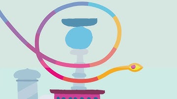 Hohokum (Transparency Shorts)