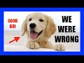 We Were Wrong About "Dog Years" | [OFFICE HOURS] Podcast #012