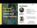 Forced Labour: Risks and Regulations