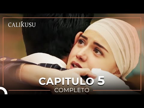 Calikusu 5 Capítulo