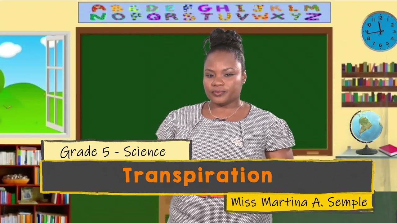 Science - Grade 5: Transpiration