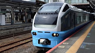 E653系K71編成の特急ふわもこコキア夏遊び号 勝田行が水戸駅4番線を発車