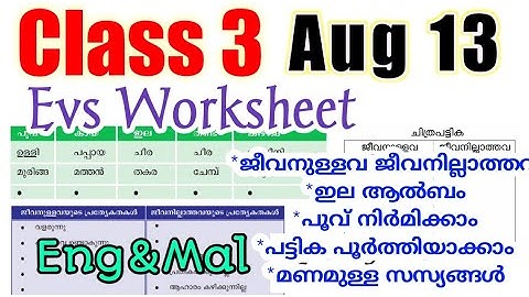 Class 3 Victers Environmental Studies August 13 Worksheet/class 3 evs worksheet/victers class 3 evs