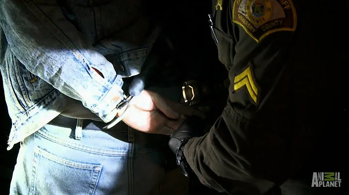 Mass Poaching Investigation | North Woods Law