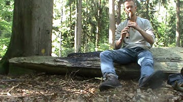 Odell Borg Sparrowhawk High Spirits flute in key of A - Forest playing