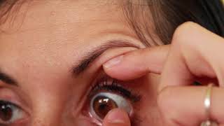 Download Lagu Adore lenses - Crystal Hazel MP3 Download Lagu Adore lenses - Crystal Hazel MP3