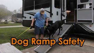 Does The Best Selling Dog Ramp On Amazon Really Work?