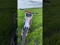 KAYO 140TT #shorts #pitbike #питбайк #природа