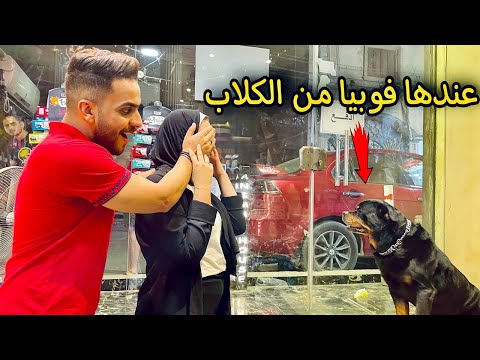 جبت لخطيبتى كلب شرس هدية عشان اتحجبت إنهارت من الخوف