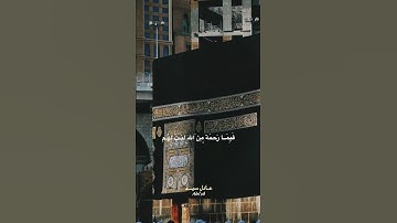 وَ لَو كُنْتَ فَظاً غَلِيظَ القَلْبِ لاِنْفَظُوا مِنْ حَولِك | القارئ عادل سيد ❤️|