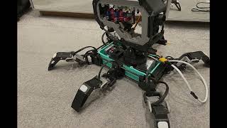 Hexapod assembly